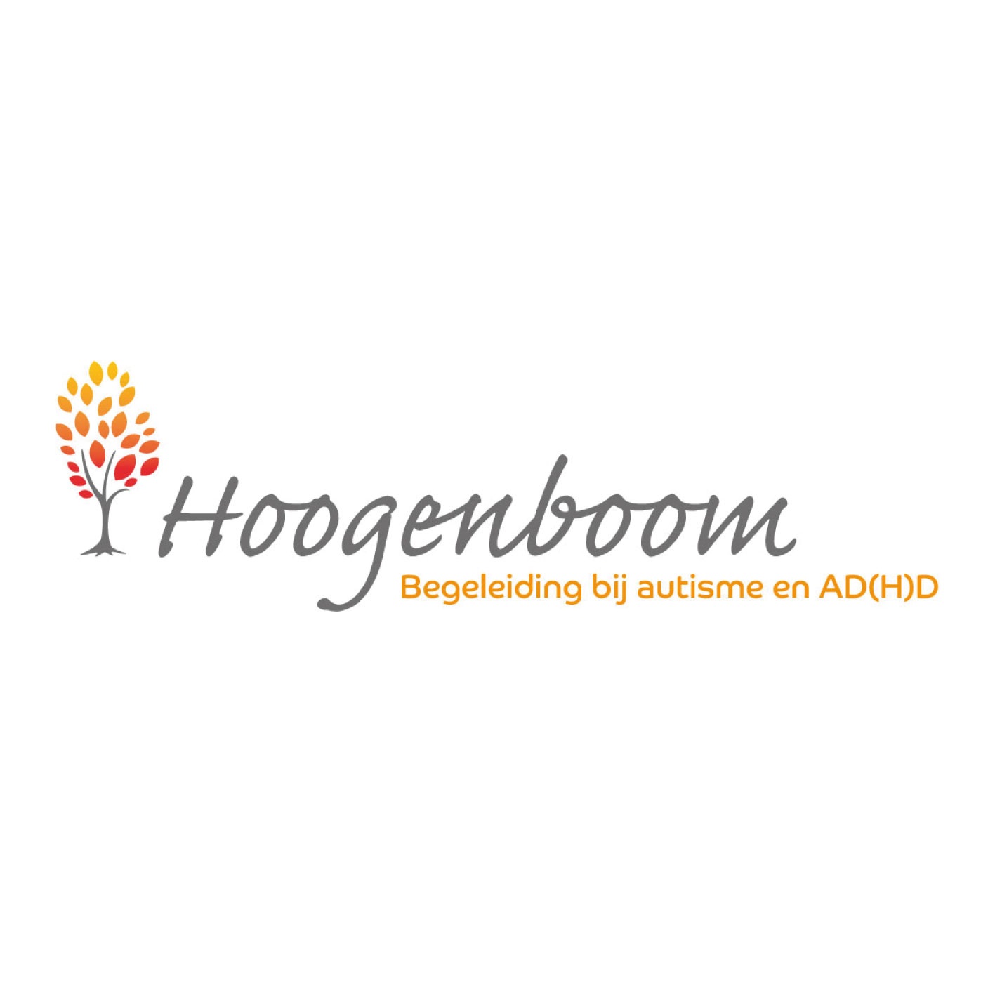 Hoogeboom Begeleiding